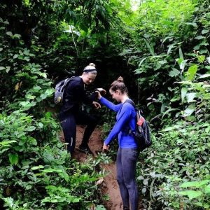Abandoned Valley And E Cave Trek 1 Day-Phong Nha Private Car
