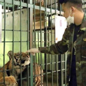Phong Nha Wildlife Rescue Center - Phong Nha Private Car