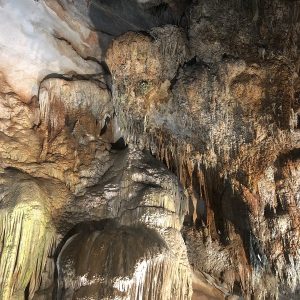 Paradise Cave Quang Binh - Phong Nha Private Car