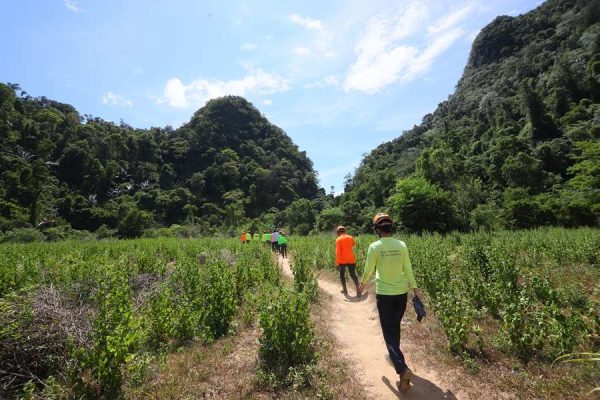 Jungle trekking to Tu Lan Cave - Phong Nha Private Car