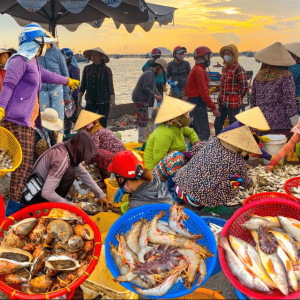 Hoi An Sunrise Fish Market- Phong Nha Private Car