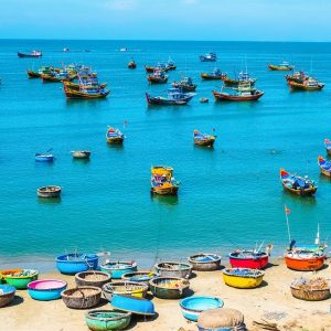 Hoi An To Mui Ne Car Transfer - Phong Nha Private Car
