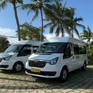 Da Nang To My Son Sanctuary Limousine - VIP Transfer