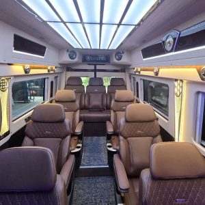 Da Nang to My Son Sanctuary Limousine - Phong Nha Private Car