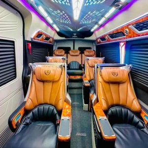 Da Nang to Mui Ne limousine - Phong Nha Private Car