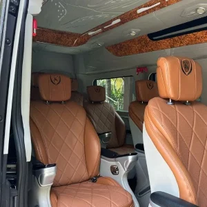 Da Nang to Phu Yen limousine - Phong Nha Private Car