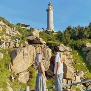 Da Nang to Phu Yen limousine - Phong Nha Private Car