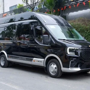 Dong Hoi to Phong Nha limousine - Phong Nha Private Car