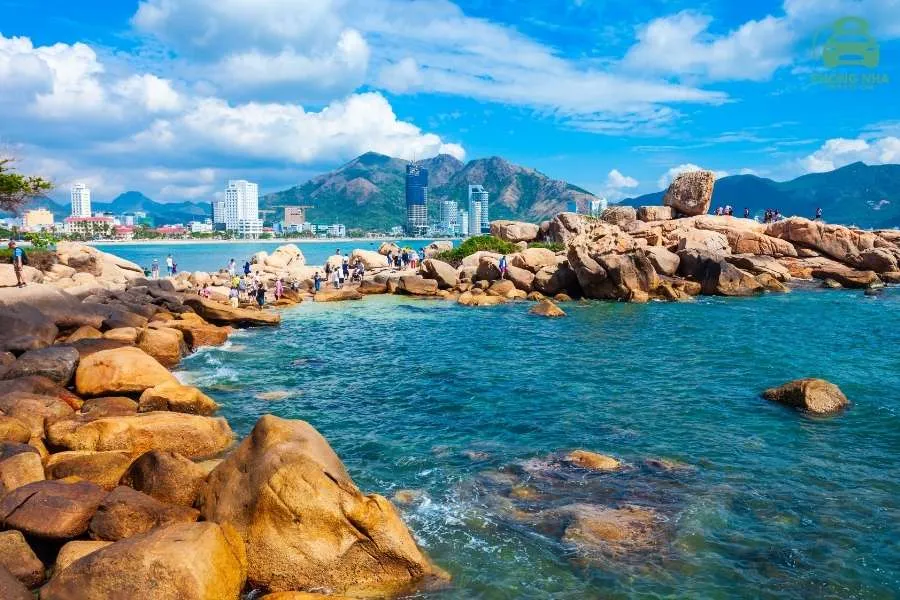 Hoi An To Nha Trang By Limousine - Phong Nha Private Car