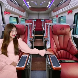 Hoi An To Quy Nhon Limousine Transfer - Phong Nha Private Car