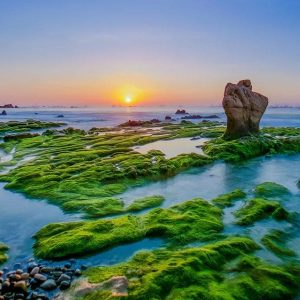 Hoi An to Mui Ne limousine - Phong Nha Private Car