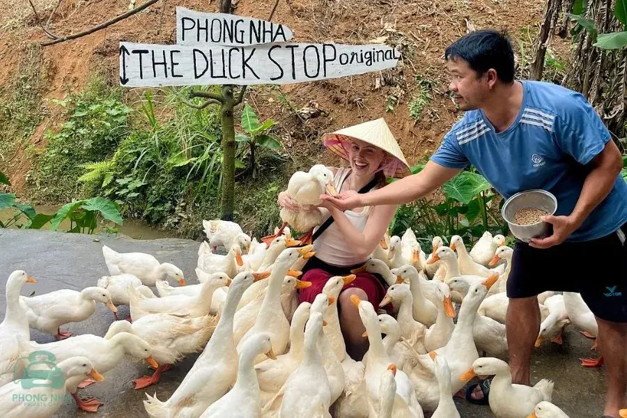 Duck Stop - A popular countryside experience in Phong Nha