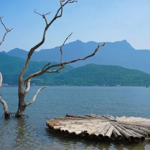 Transfer From Laguna Lang Co To Da Nang Private Car - Phong Nha Private Car