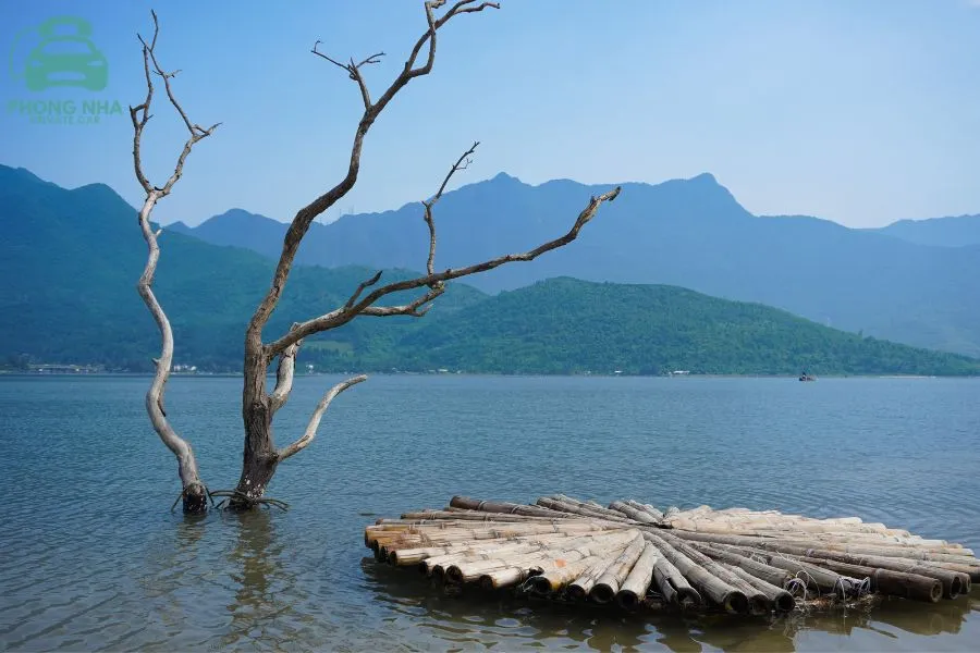 Transfer From Laguna Lang Co To Da Nang Private Car - Phong Nha Private Car