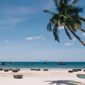Transfer From Laguna Lang Co To Da Nang Private Car - Phong Nha Private Car
