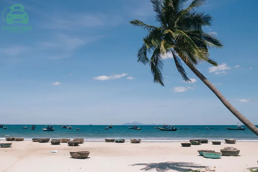 Transfer From Laguna Lang Co To Da Nang Private Car - Phong Nha Private Car
